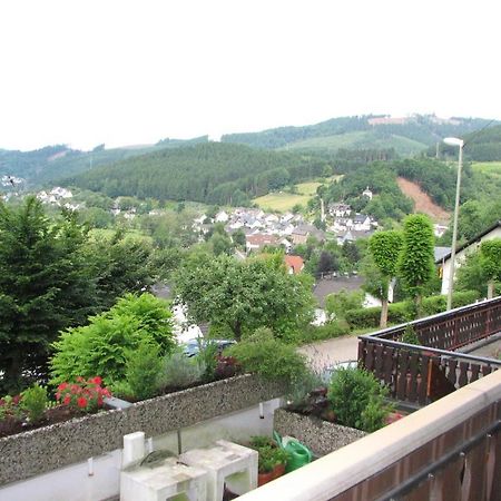 Appartement Haus Sonnenschein à Lennestadt Extérieur photo
