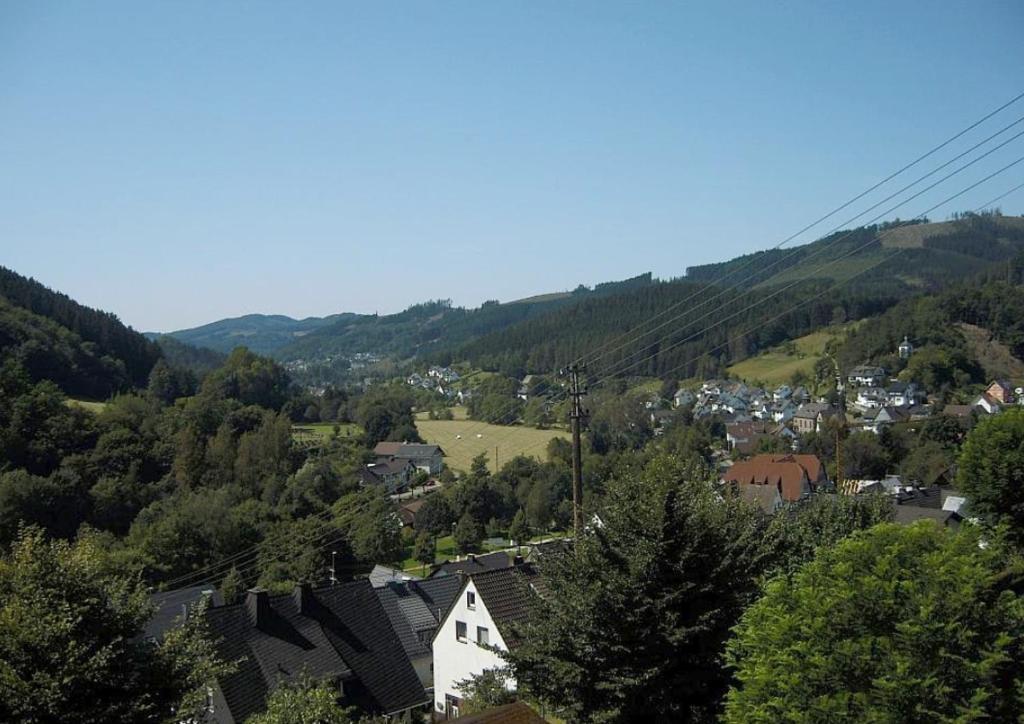 Appartement Haus Sonnenschein à Lennestadt Extérieur photo