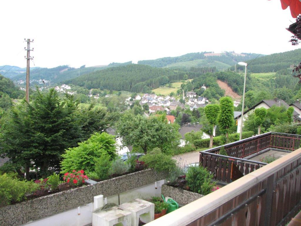 Appartement Haus Sonnenschein à Lennestadt Extérieur photo
